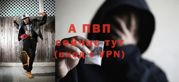 спиды Корсаков