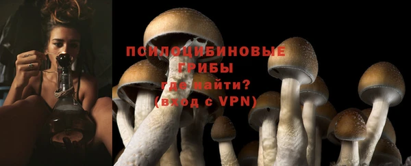 ECSTASY Костерёво