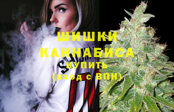 ECSTASY Костерёво